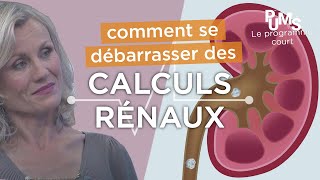 Comment éliminer les calculs rénaux (dans les reins) pour une meilleure santé ?