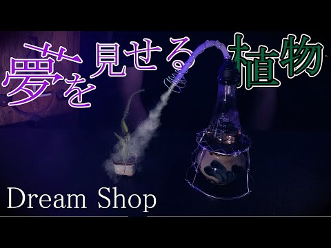 【 ASMR 】見たい夢を見る。 日本語 ロールプレイ 「夢十夜」 /  The Dream Shop Roleplay  / Japanese ASMR