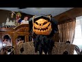 7Ft Animated Scary Pumpkin Head Scarecrow Halloween Prop!