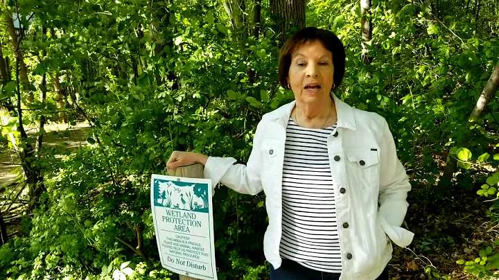 Susan Cochran, Environmentalist