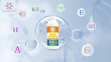 NANO VITAMIN - GIẢI PHÁP BỔ SUNG DƯỠNG CHẤT CHO TÔM NUÔI - NANO VIETNAM TECHNOLOGY