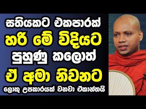 දවසකට එක බණක් හරි මේ විදියට අහන්න එය ඔබගේ නිවනටම හේතු වේවි | Ven hasalaka seelawimala thero bana
