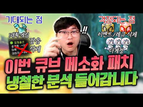   메이플 제2의 빅뱅패치가 될 것인가 템진단 전문가 수호 현재 상황 분석 들어갑니다