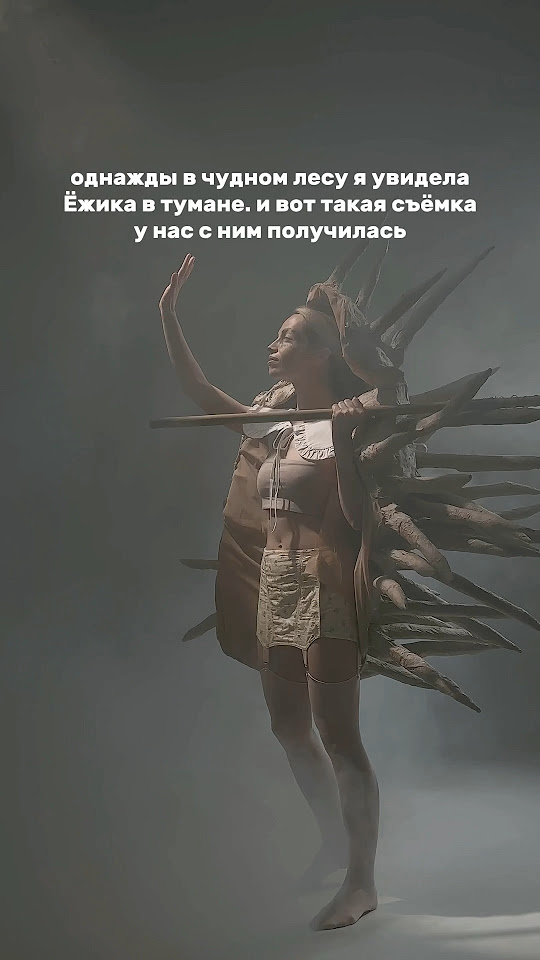 Добрый и воинственный Ёжик в тумане! Вспомнили?) #фотограф # ...