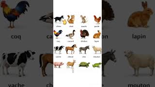 Names of animals in French☺😱#shortsviral ,#shorts