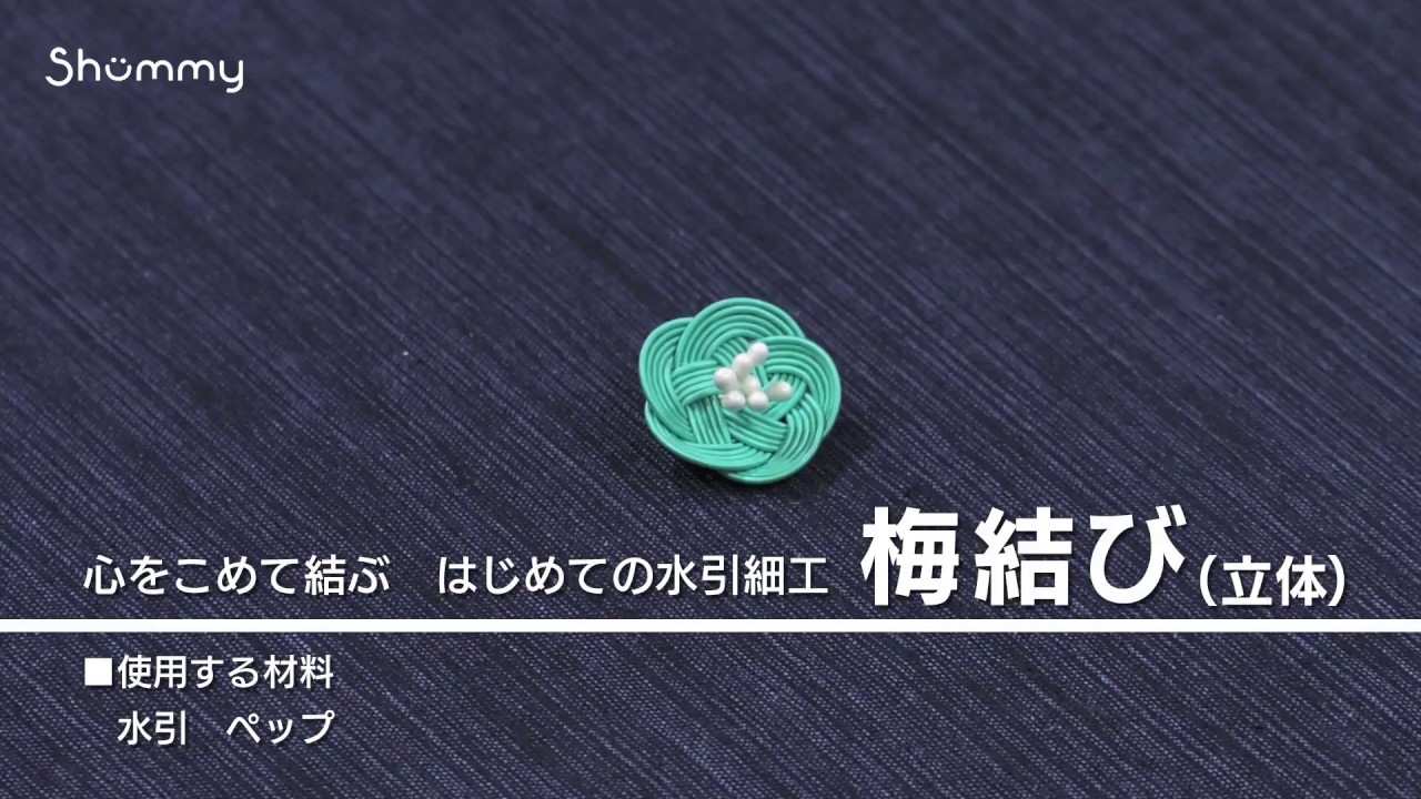 心をこめて結ぶ はじめての水引細工 1分ダイジェスト 葉っぱ Youtube