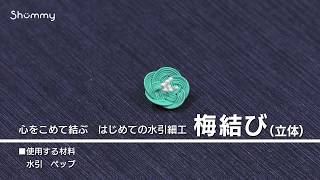 心をこめて結ぶ　はじめての水引細工【1分ダイジェスト】（梅結び）