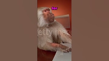 The Undertale 10th Anniversary Was Made By Modders