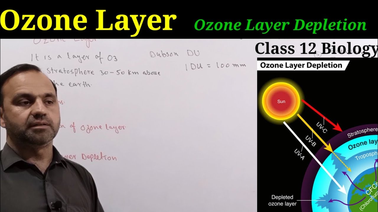 Ozone Layer Class 12 Biology| Ozone Depletion and it's causes and ...