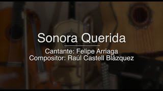 Sonora Querida - Puro Mariachi Karaoke - Felipe Arriaga