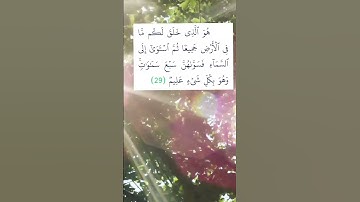 سورة البقرة - الآية 29 #الله #alquran #ayat #qran #آية #القرآن #قرآن #aya #بدر_المشاري #allah