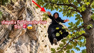 Asiyeh Khanom Runs Away from a Young Soldier’s Marriage Proposal! 😱 She Falls from a Tree!