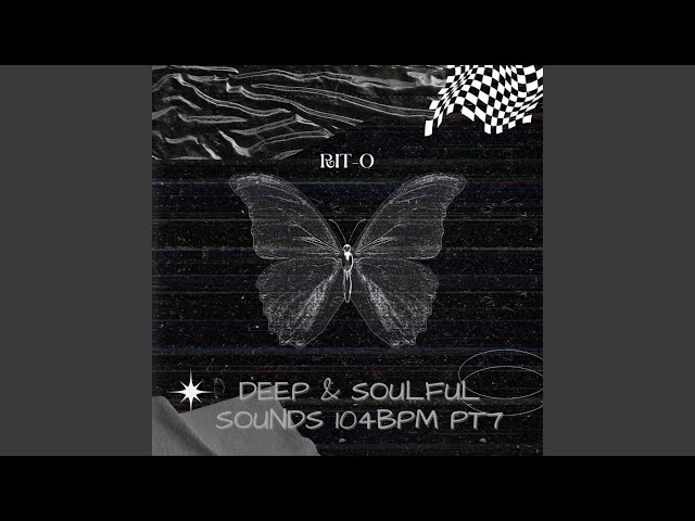 DEEP & SOULFUL SOUNDS 104BPM PT7 class=