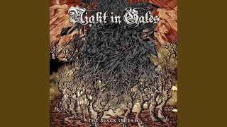 Watch Night In Gales Eternal video