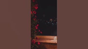 #اكسبلور #قرآن #السعودية #سورة الفتح