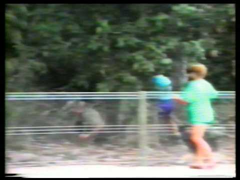 Big bird attacks person - cassowary (not a pretty sight)