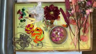 ProjectArt Masterclass Lesson 6 W/ Alex Knapik: Botanical Design + Assemblage