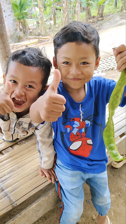 🌱 Petai Besar Banget! Sekali Makan Bau Satu Kampung 🤯