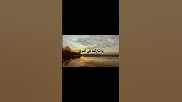 اذكروا الله #تلاوه #اكسبلور #quran #لايك #القرآن_الكريم #تلاوات #راحة_نفسية #حالات_واتس #foryou #fyp