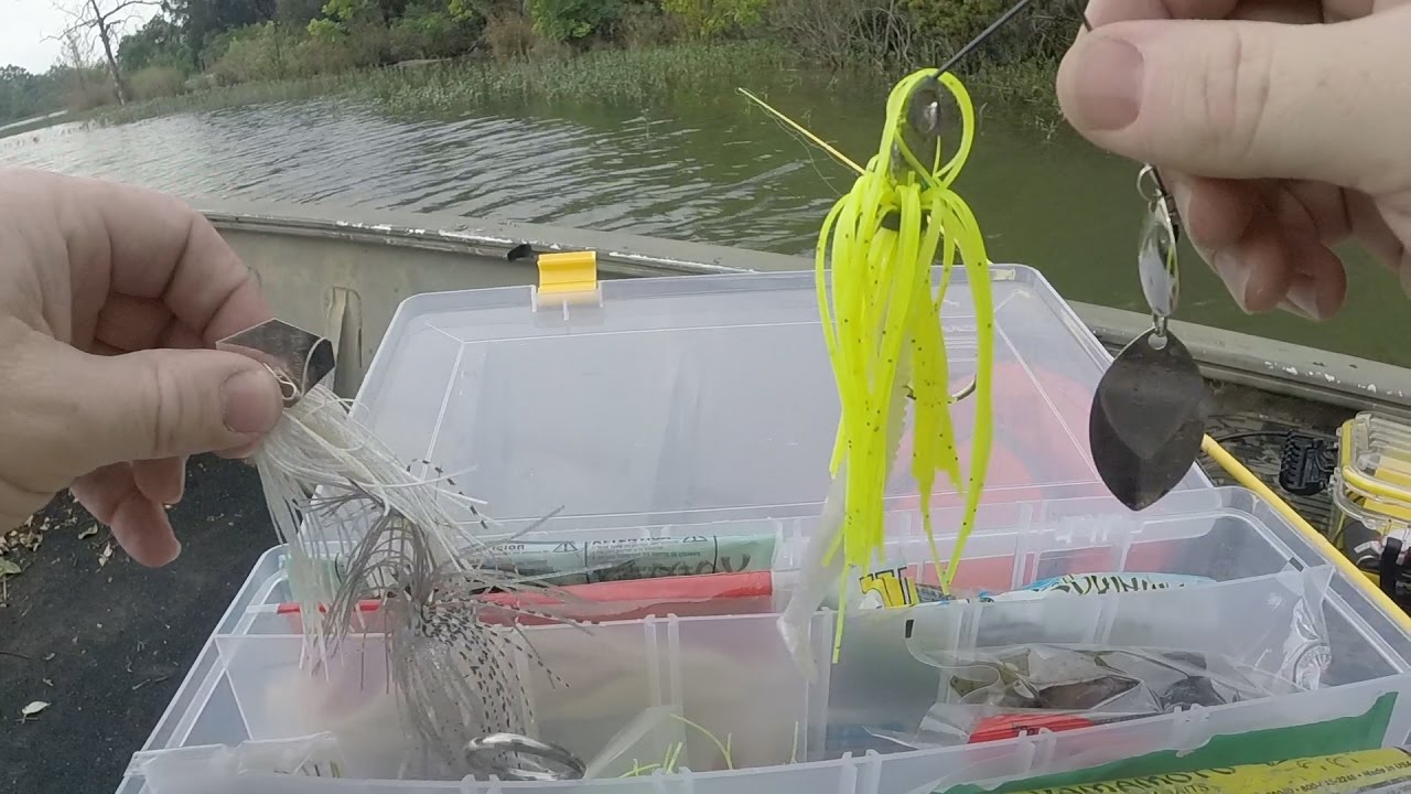 Chatterbait / Spinnerbait fishing the grassline at