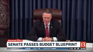 Senate approves budget blueprint