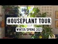 Houseplant Tour (400+ Plants) | Winter/Spring 2021