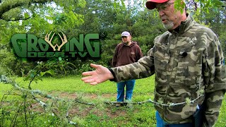 Where to Put Food Plots: Advice to a Tennessee Hunter