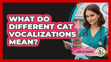 What Do Different Cat Vocalizations Mean? - Happy Cat Handbook