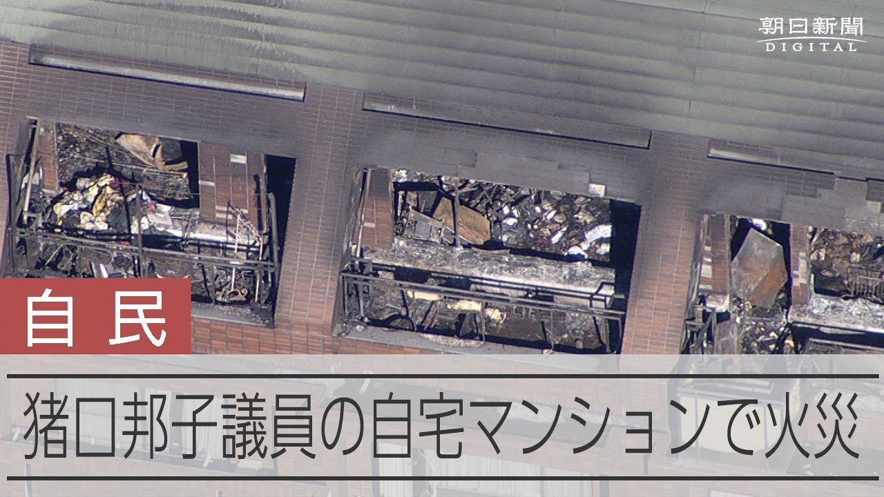 猪口邦子 火事