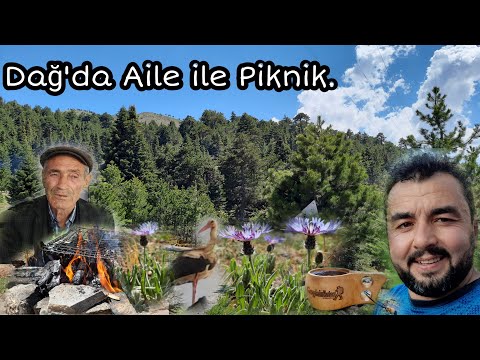 Aile ile Dağda Piknik — Leylek ve Yanık Türkü  —  Sabah Açan Akşam Kapanan Sarı Çiçek Çiçek