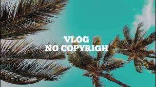 Erik Land - summertime(vlog no copyright music)