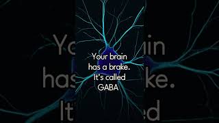 GABA and Sleep
