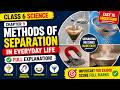 Class 6 Science Chapter 9 FULL Explanation | Methods of Separation in Everyday Life
