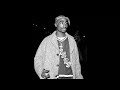[FREE]2PAC x NAS x SNOOP DOGG x EMINEM TYPE BEAT 2024