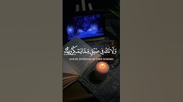 وَٱصْبِرْ وَمَا صَبْرُكَ إِلَّا بِٱللَّهِ [النحل] #فارس_عباد #سورة_النحل #quran #قرآن #islam #اسلام