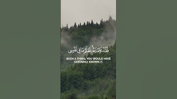 سورة المائدة . ياسر الدوسري