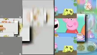 6 Shuric Scans With Are Reversed Slides