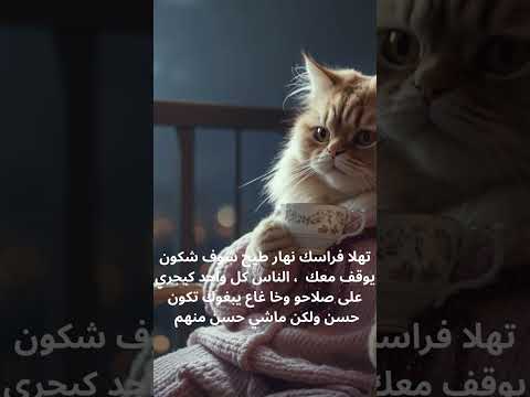 ناس يبغوك تكون حسن ولكن ماشي حسن منھم قدࢪ تعب بلايڪ وشتࢪاڪ شفاء اكسبلور الوعي