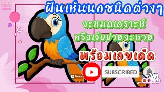 #ฝันเห็นนกชนิดต่างๆ #ฝันดี(พร้อมเลขเด็ด)Dream of seeing birds|ยอดหญิง ทำนายฝัน