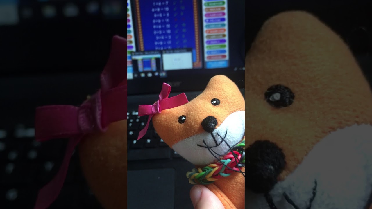 playing math quiz with my fox toy 