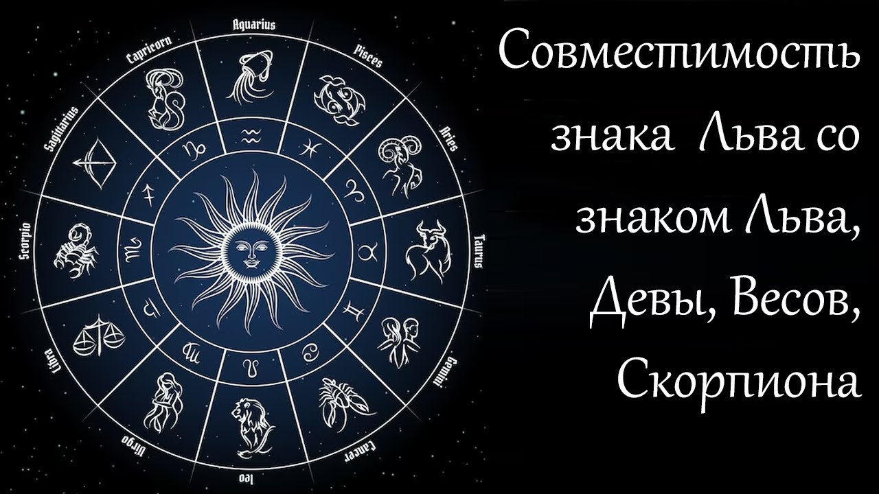 Совместимость Львов И Скорпионов Секс Совместимость Львов И Скорпионов Секс