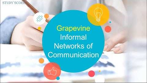 Networks of communication Part-2 | Informal network of communication | Grapevine Chain | STUDY SCORE