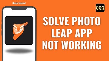 How To Solve Photo Leap App Not Working