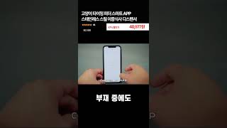 고양이 타이밍 피더 스마트 APP 스테인레스 스틸 이중식사 디스펜서