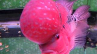 D:\Documents and Settings\My Pictures\MVI_3424.avi