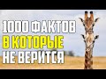 1000 ФАКТОВ В КОТОРЫЕ СЛОЖНО ПОВЕРИТЬ С ПЕРВОГО РАЗА