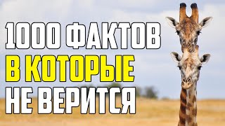 1000 Фактов В Которые Сложно Поверить С Первого Раза