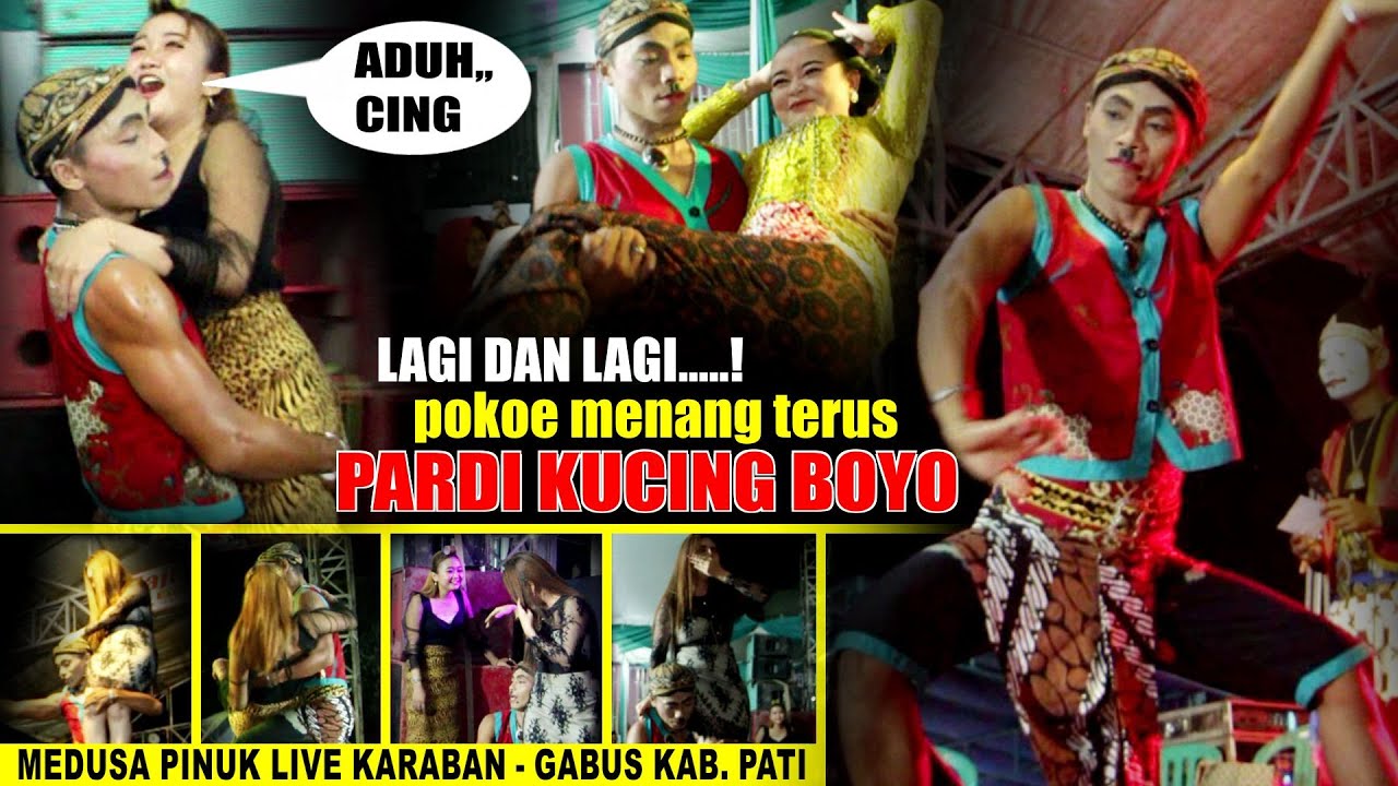 PARDI KUCING BOYO BERULAH LAGI ... MENANG AKEH /// KUMUDO RANGSANG // MEDUSA PINUK