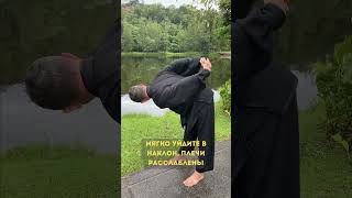 ✨ 3 минуты в день — и почки наполняются энергией ✨