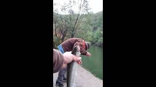 How to Catch Trout and Steelhead on a BROKEN Fishing Pole
